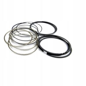 Pierścienie tłokowe Hastings Tribeca 07-09 3.6 OEM 2C5877